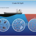 red tide oil spill