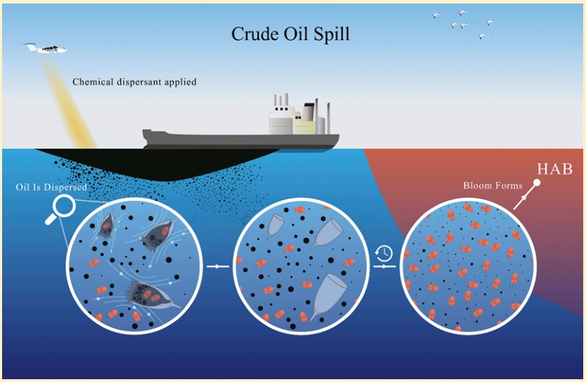 red tide oil spill