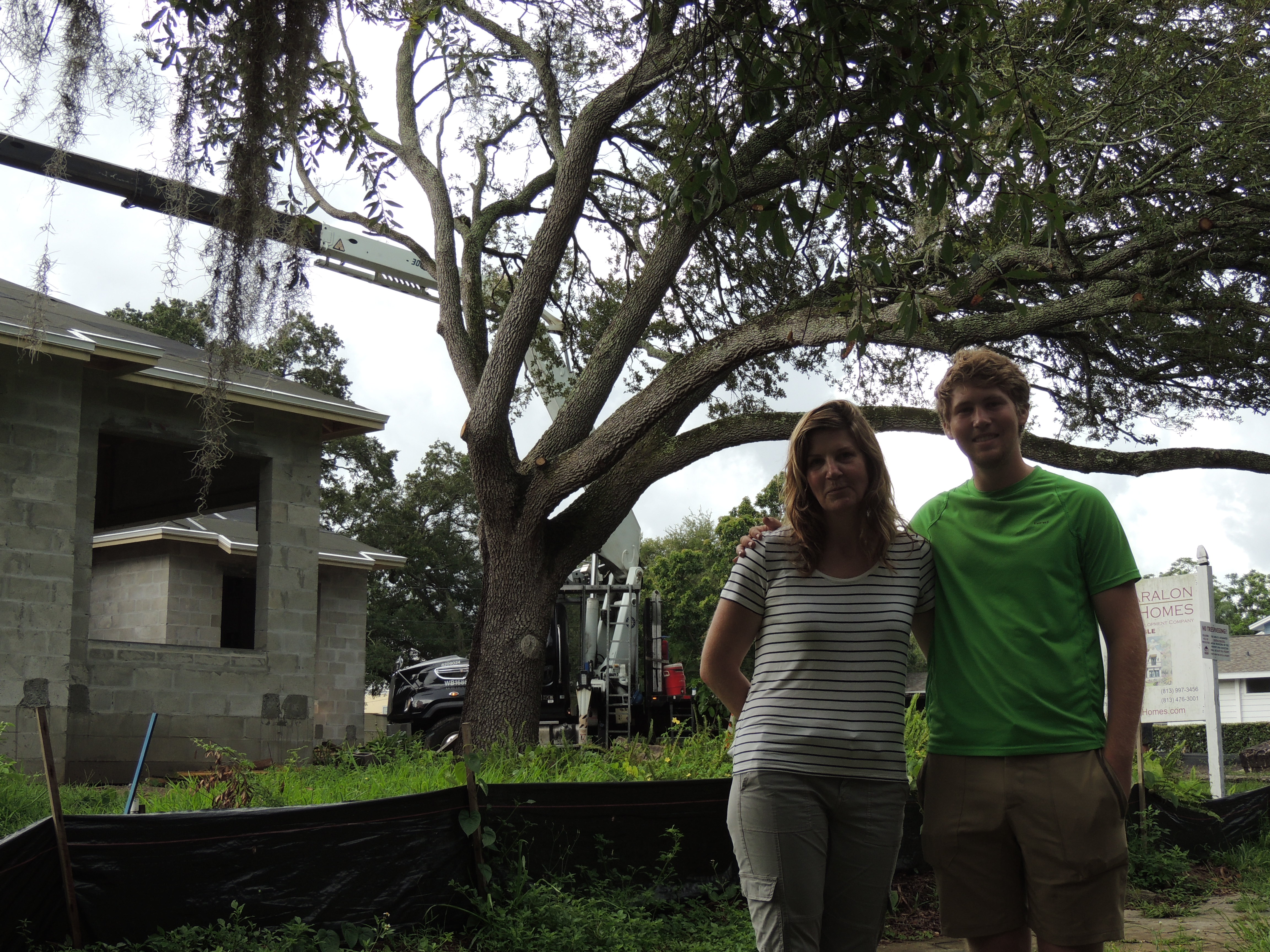 St. Petersburg woman wants to save tree from Development / developers