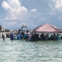whale stranding photo Redington Beach Florida July 2019