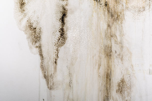 3 Tips to Prevent Water Damage in Your Home