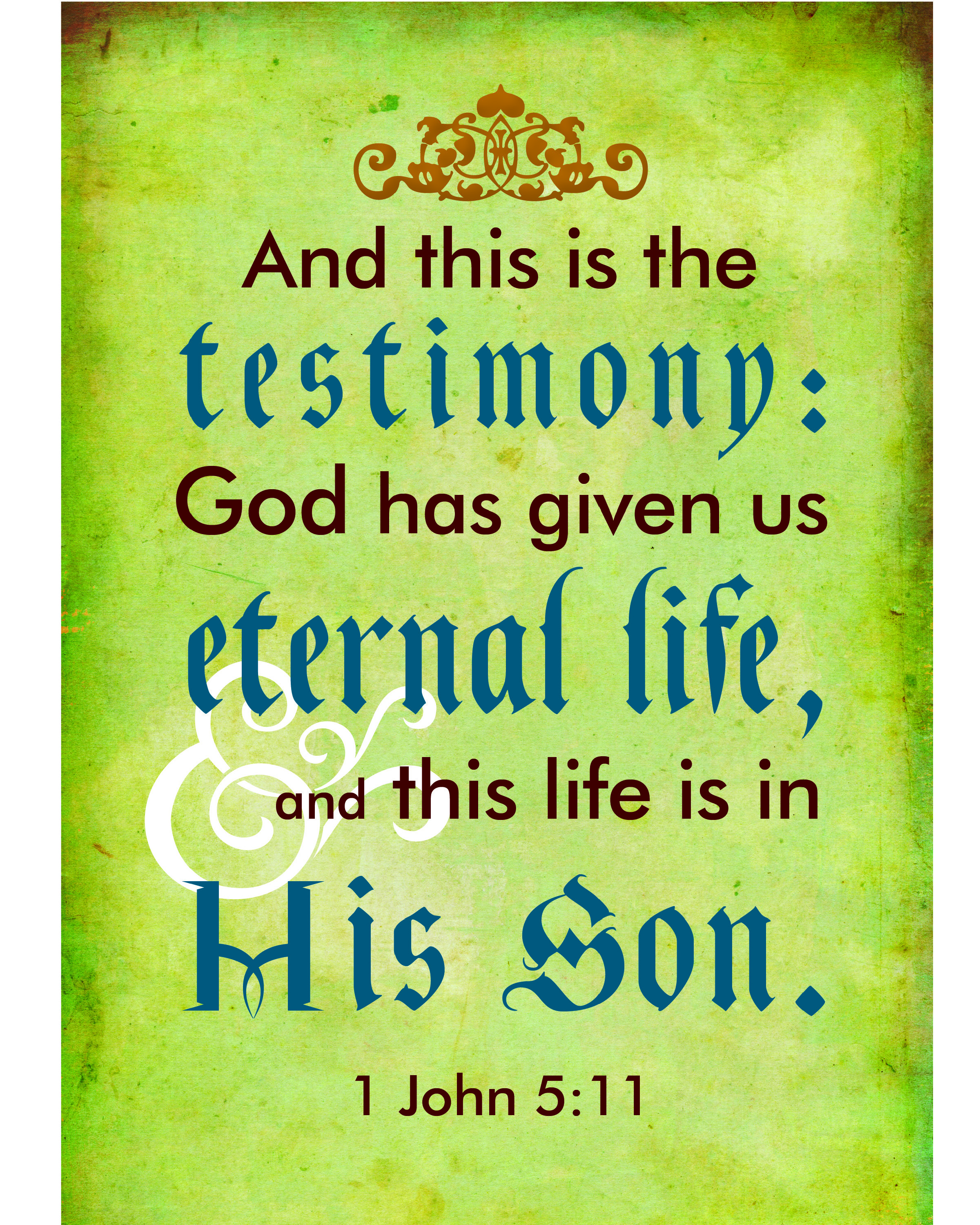 John 5 11 15