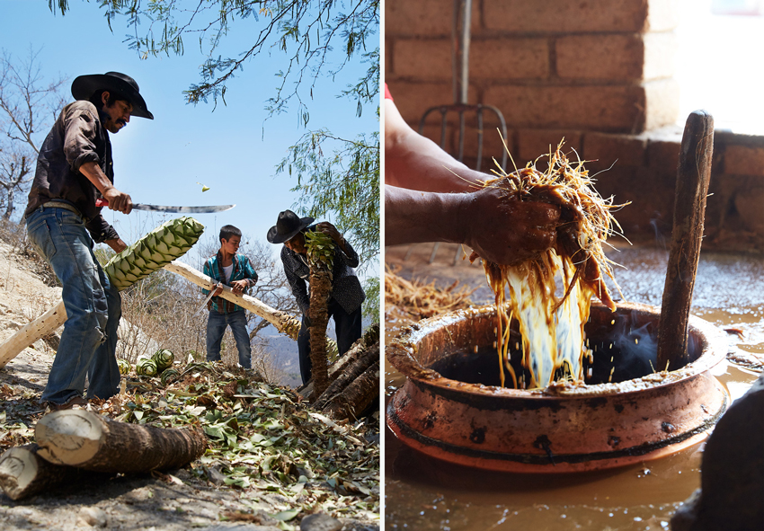 Max Kelly: Mezcal Making Madness | Wonderful Machine
