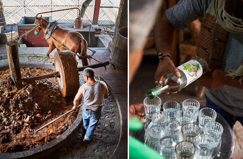 Max Kelly: Mezcal Making Madness | Wonderful Machine