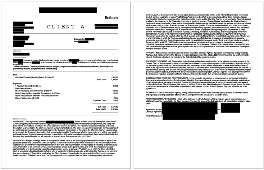 screenshot of a pricing estimate for a professional services and consulting company