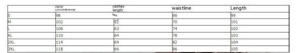 Fashion Casual Women's Suit Women's Clothing - Image 7