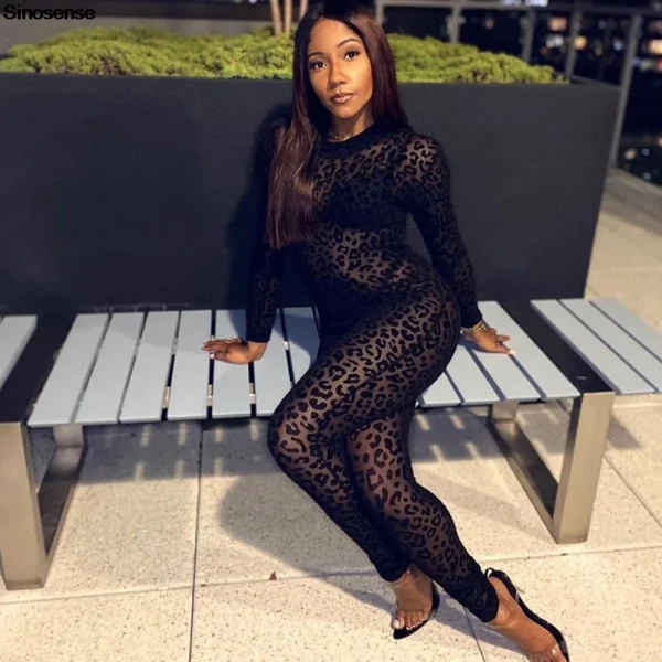 Women See Through Bodycon Jumpsuit One Piece O Neck Slim Fit Outfits Sheer Mesh Leopard Night Clubwear Party Jumpsuits Rompers - Image 4