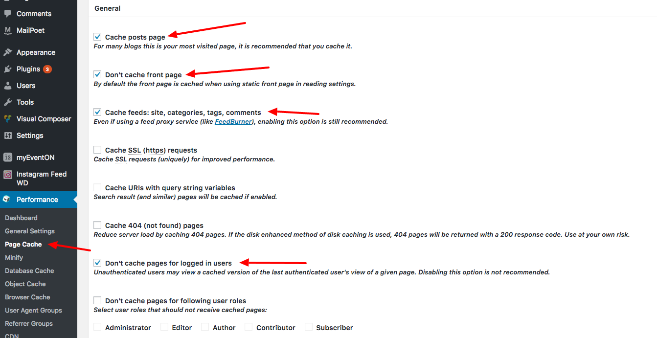 W3 Total plugin page cache options