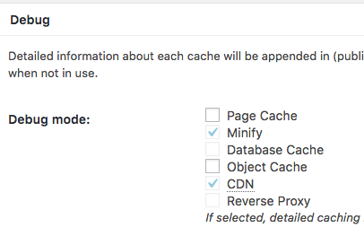 W3 Total plugin uncheck debug modes