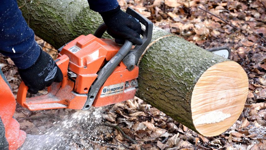 Oregon IL Professional Firewood For Sale | Woodchuck Tree Service