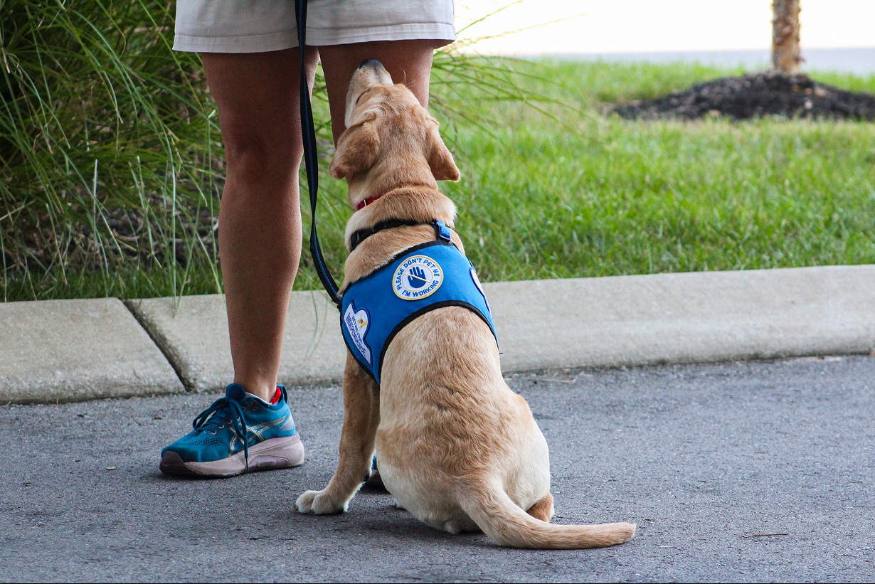 The service dog graduation nobody will forget
