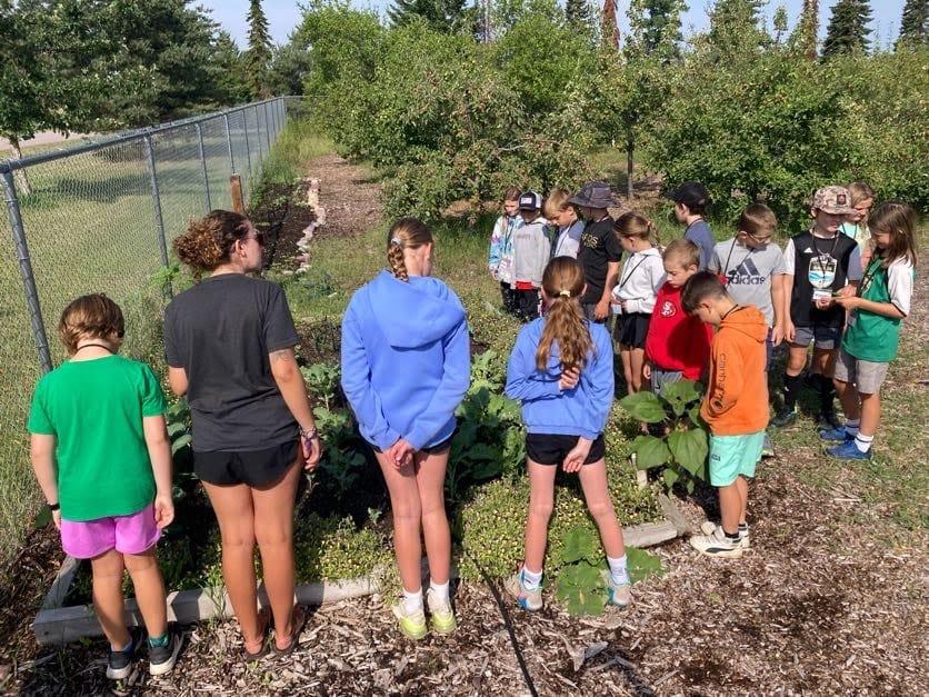 Joy takes root when you serve: Land to Hand MT — photo 2