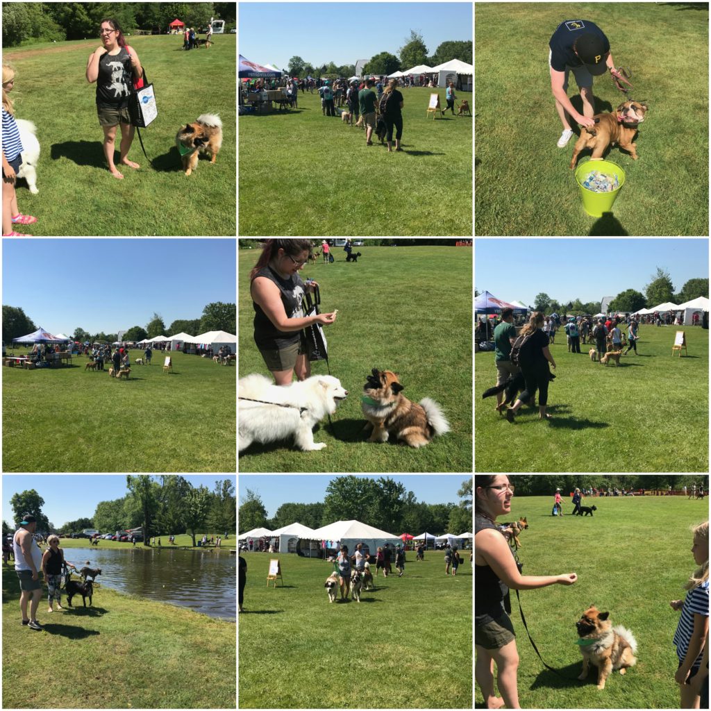 Our PUPtastic Weekend at Bark in the Park, London London Plumbing Plumber Services in