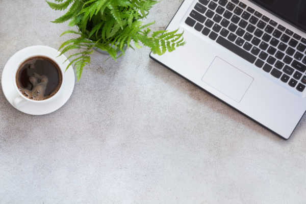 Office workplace with laptop, cup of coffee and plant on grey. Top view with copy space.