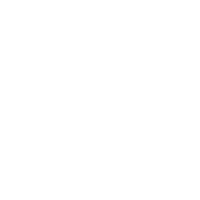 Dunlop