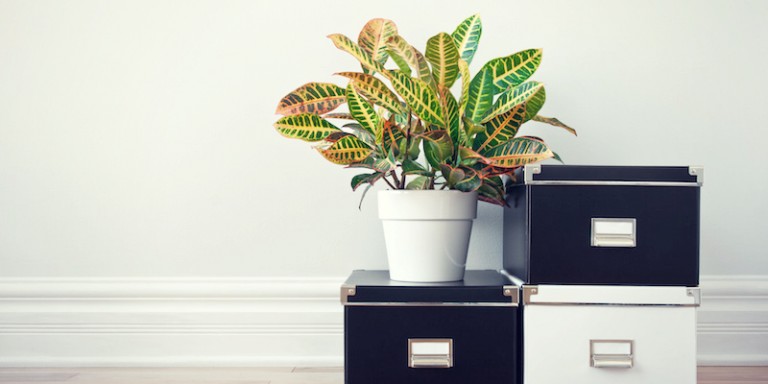 How To Get Organized At Work Spring Cleaning Edition Redbooth