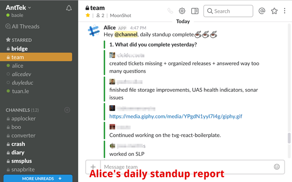 slackbot alice daily standup report - project management guide