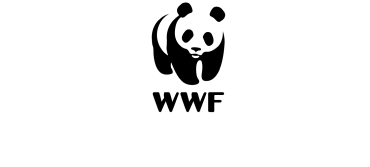 WWF visa