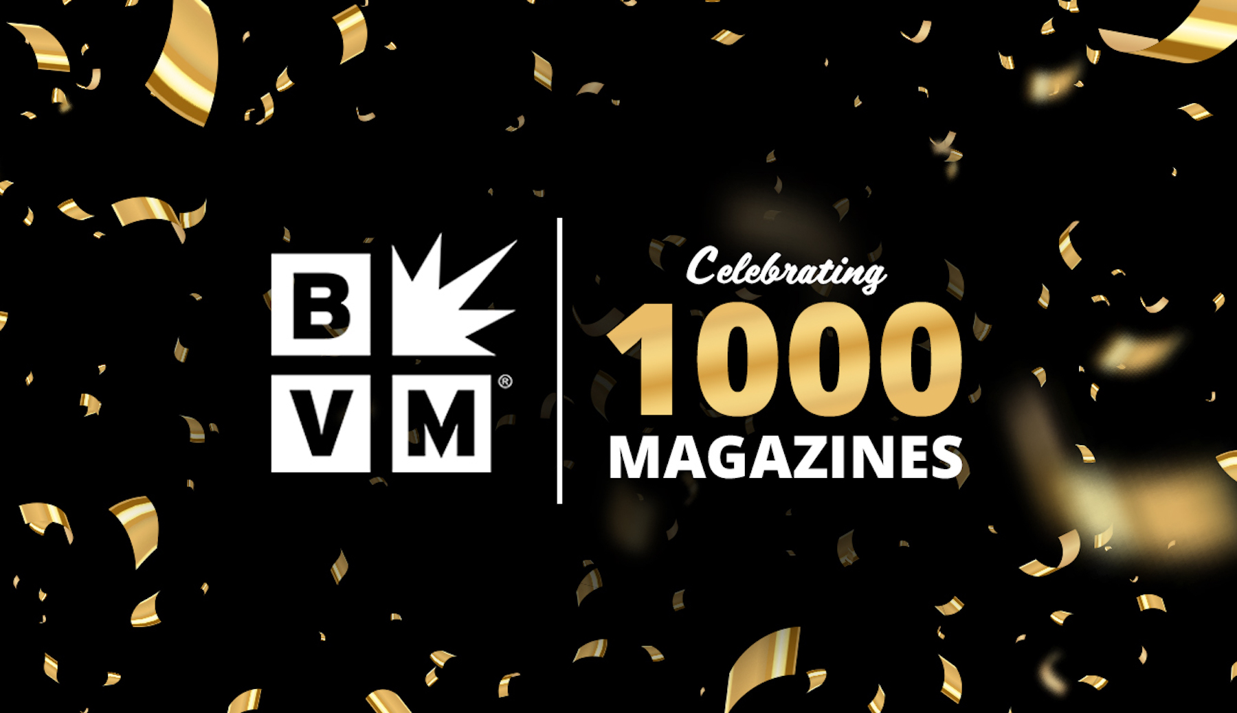 bvm-blog-1k-mags