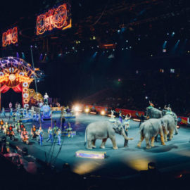 Cirque du Soleil – Blue Ocean Strategy, Explained