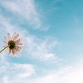The Challenge of Measuring Forecast Accuracy