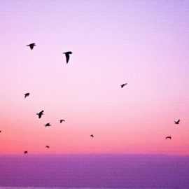 When Breath Becomes Air by Paul Kalanithi—Life Lessons