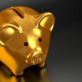 Why Commodity Standards Don’t Work