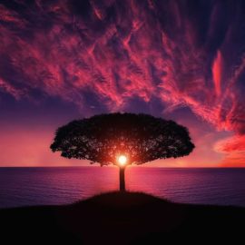 Inner Nature: You Can’t Ignore or Outsmart It