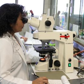 Gender Discrimination in the Workplace: Equality at NASA