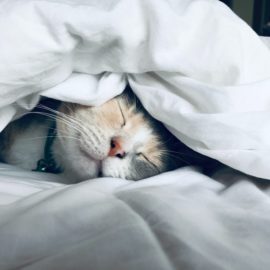 Ways to Improve Sleep: 27+ Tips to Try Tonight