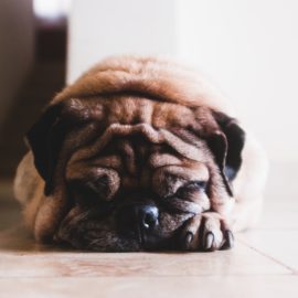 Lack of Sleep and Weight Gain: The Shocking Truth