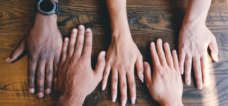The Link Between Team Diversity and Innovation The Link Between Team Diversity and Innovation