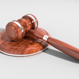 Biased Jury, Injustice, and Where the Crawdads Sing