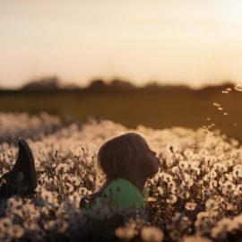 What Part of the Brain Controls Long Term Memory?