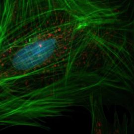 Scientific Progress: Revolutionary Changes in Science