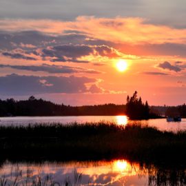 5 Beautiful Where the Crawdads Sing Quotes