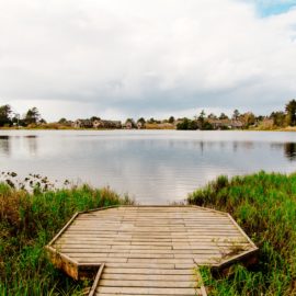 Is Where the Crawdads Sing a True Story?