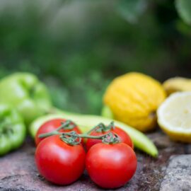 Plant Paradox Phases: 3 Steps to a New Lifestyle