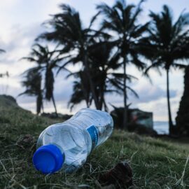 What Is an Endocrine Disruptor & Why Does it Matter?