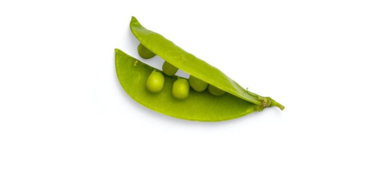 Plant Paradox Phase 2: Making Great Eating Habits Plant Paradox Phase 2