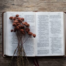 The Jesus Seminar: Scholars Meet About Jesus