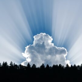 How Did Jesus Perform Miracles? His Divinity