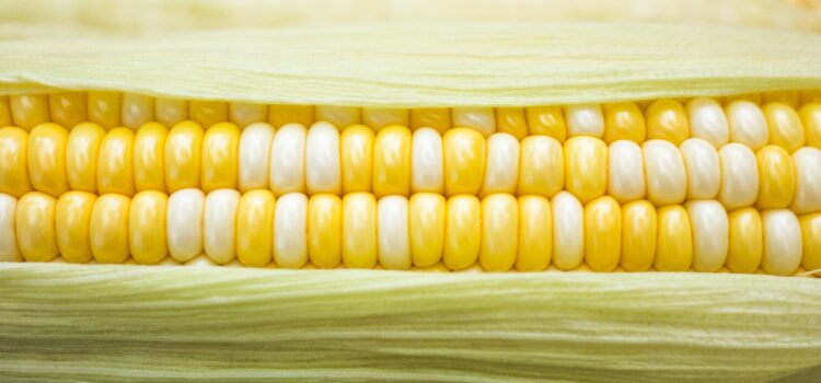 Beware the Dangers of Genetically Modified Foods Beware the Dangers of Genetically Modified Foods