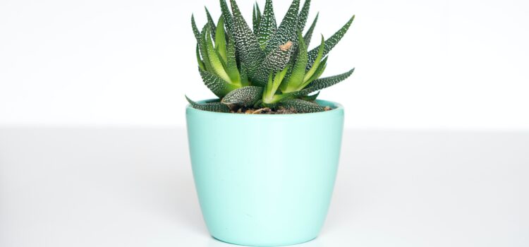 Is the Plant Paradox True or Based on Faulty Science? Is the Plant Paradox True or Based on Faulty Science?
