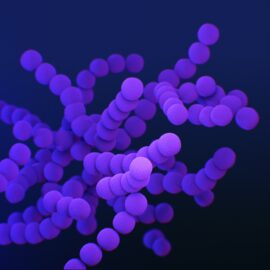 What Is Ebola Disease? Behind The Deadly Virus