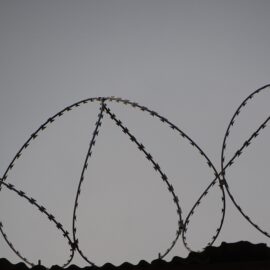 Being Institutionalized: Bureaucracy Prevails