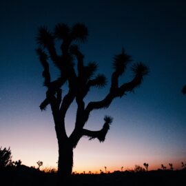 How to Find Your True Self: The Greenlights Philsophy