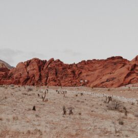 The Glass Castle Setting: From Deserts to NYC
