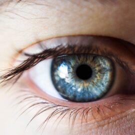 What Is the Most Important Sense? (Why It’s Vision)