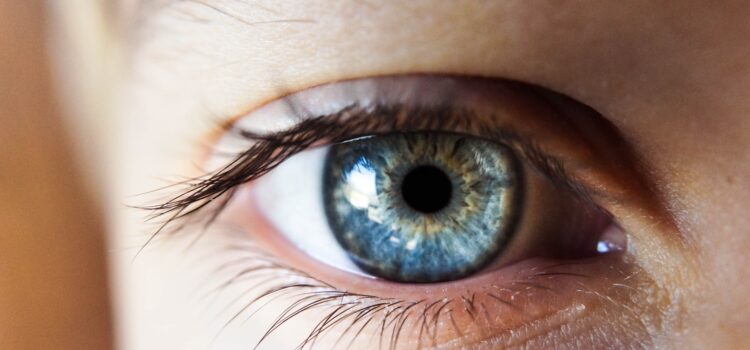 How to Improve Observation Skills: 3 Ways to See More How to Improve Observation Skills: 3 Ways to See More
